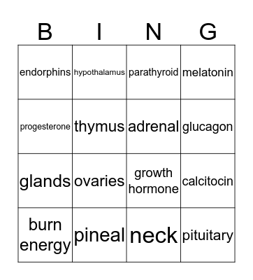 Endocrine System Bingo Card