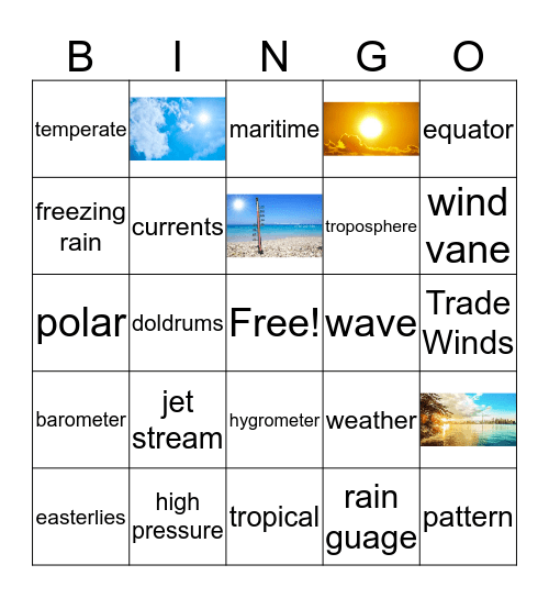 Science Vocabulary Bingo Card