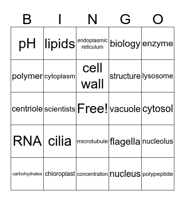 How to Handle Bio Lectures Bingo Card