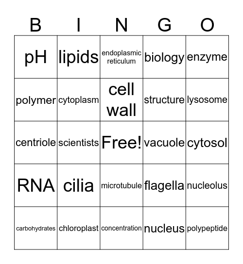 How to Handle Bio Lectures Bingo Card