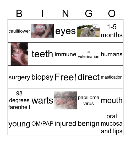 canine oral viral oral papillomatosis Bingo Card