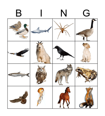 Head Start Bingo: Animals Bingo Card