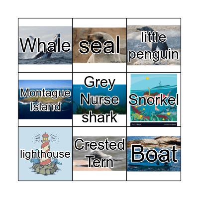 Montague Island Bingo  Bingo Card