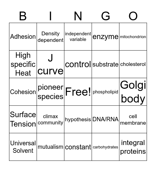 Review Bingo Card