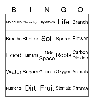 Plants and Photosynthesis Bingo Card