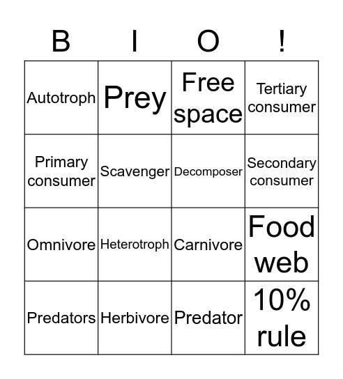 Food Webs Bingo Card