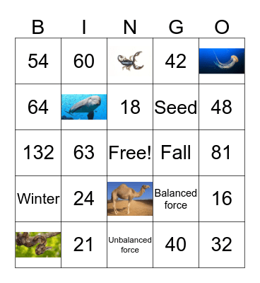 Review Bingo Card