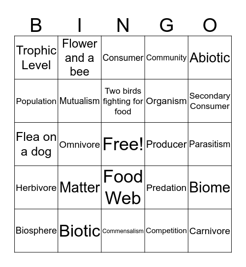 LS 2-4 Bingo Card