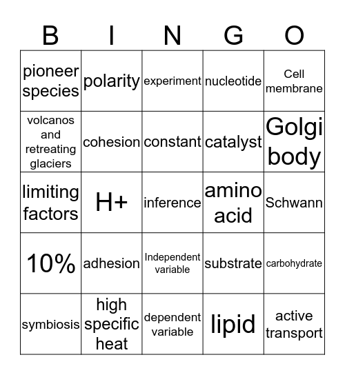 Review  Bingo Card