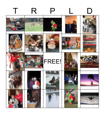 Holiday TRPLD Bingo Card
