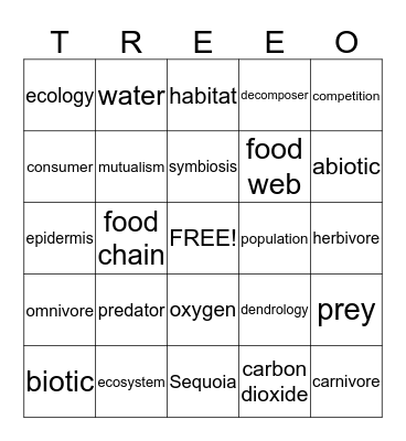 Lexicon Bingo Card