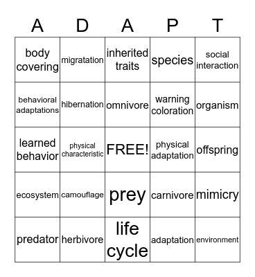 Adaptations Bingo Card