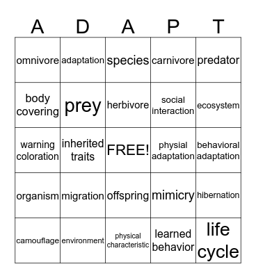 Adaptation Bingo Card