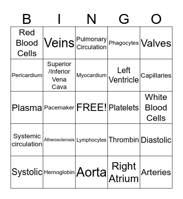 Circulatory System BINGO Card