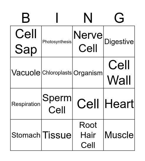 Biology: Cells Bingo Card