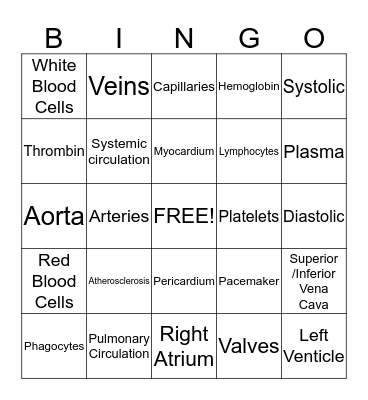 Circulatory System BINGO Card