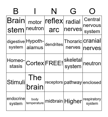 Nervous system bingo Card