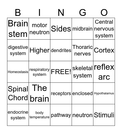 Nervous system bingo Card