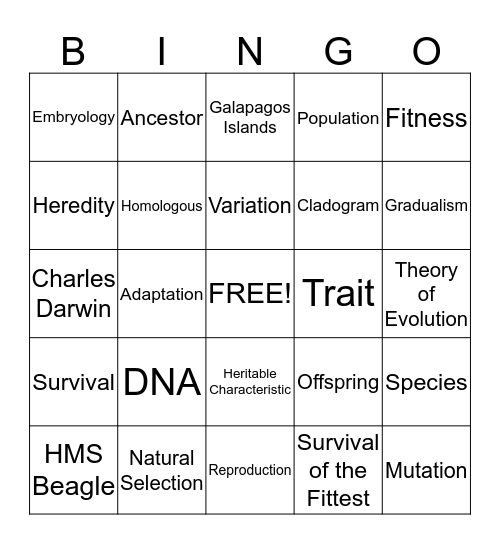 Evolution Bingo Card