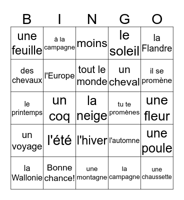 Unité 34 Bingo Card