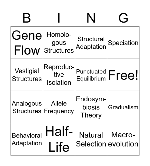 Evolution Vocab Bingo Card