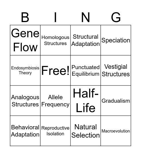 Evolution Vocab Bingo Card