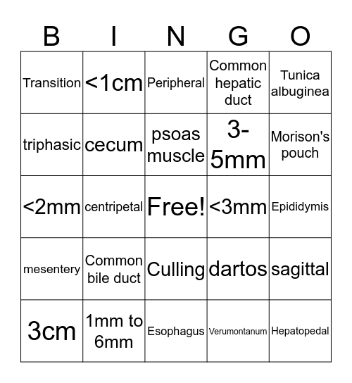 DMS 102 Final Review Bingo Card