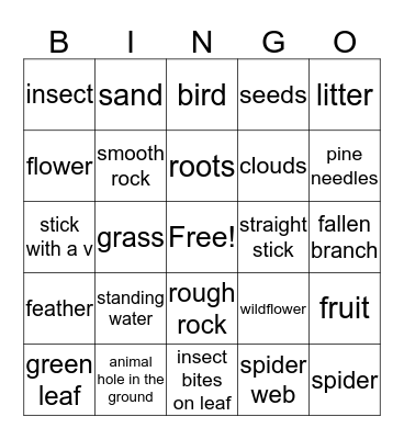 Outdoor Scavenger Hunt Bingo Card