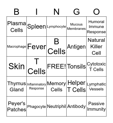 Bio Bingo Card