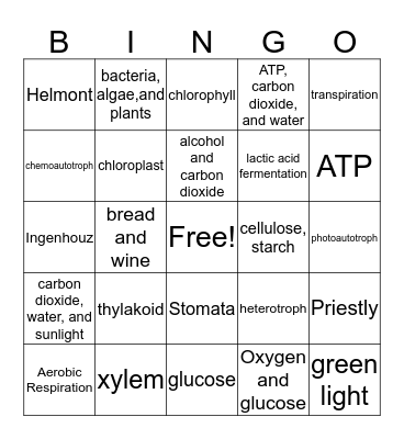 Cellular Energy Bingo Card