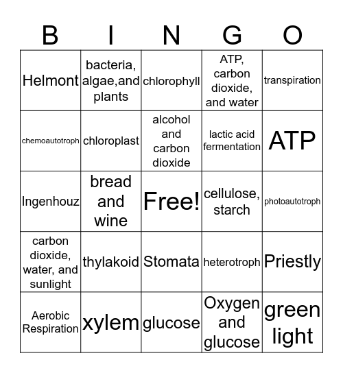 Cellular Energy Bingo Card