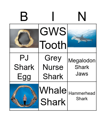 Shark Bingo Card