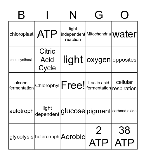 CR/PS BINGO Card