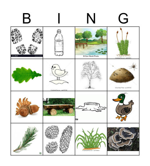 Leśne bingo (do 6 lat) Bingo Card