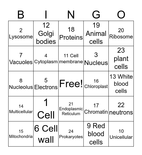 Luke’s Cell bingo chart  Bingo Card