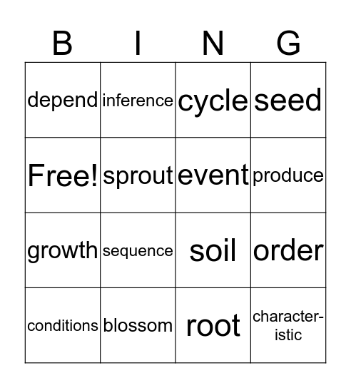3.2 Vocabulary Bingo Card