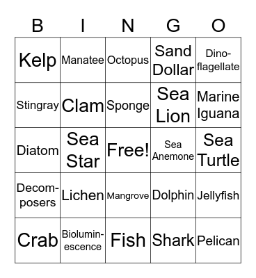 Marine Biology Bingo Card