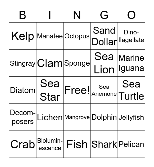 Marine Biology Bingo Card