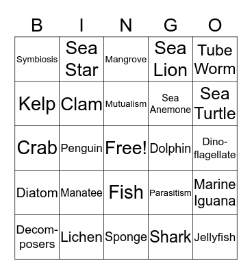 Marine Biology Bingo Card