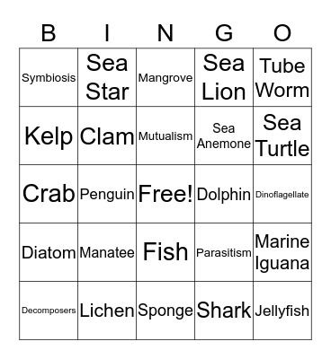 Marine Biology Bingo Card