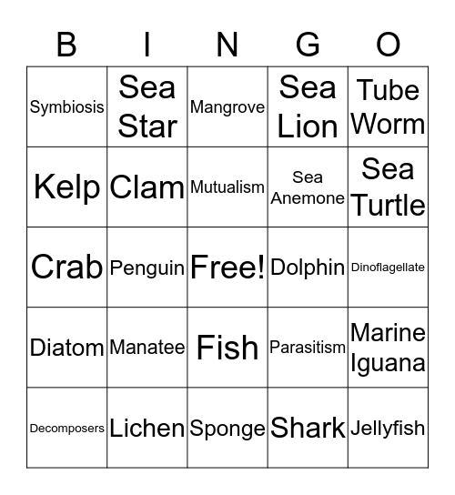 Marine Biology Bingo Card