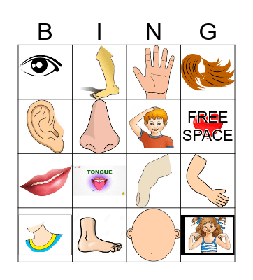 Body  Bingo Card