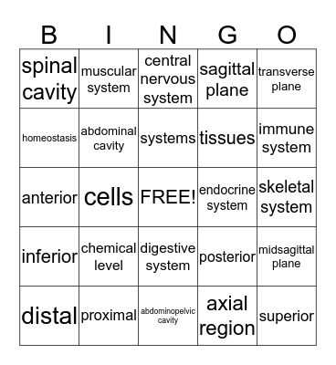 AP MOD. 1-Exam 2 Bingo Card