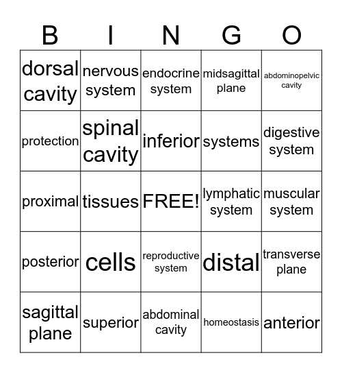 AP MOD. 1-Exam 2 Bingo Card