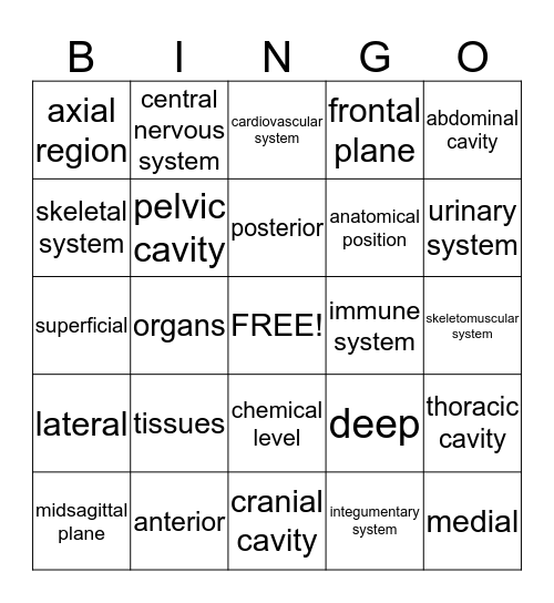 AP MOD. 1-Exam 2 Bingo Card