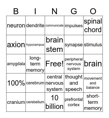 the Brain and Nervous System Bingo Card
