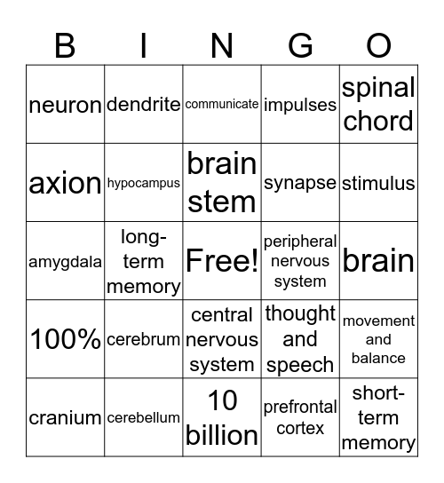 the Brain and Nervous System Bingo Card