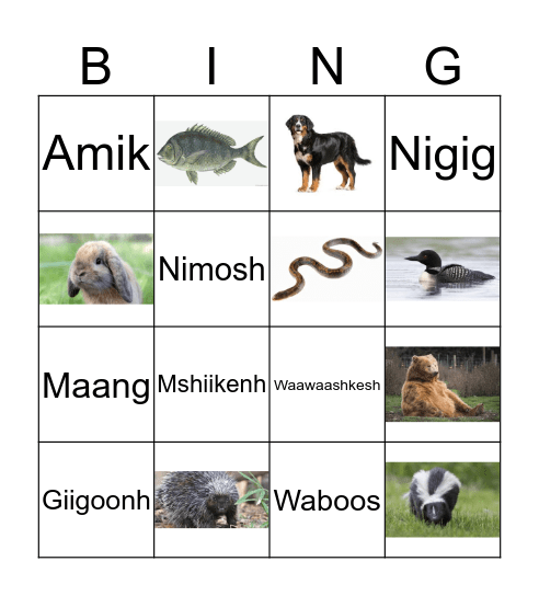 Ojibwa Bingo Card