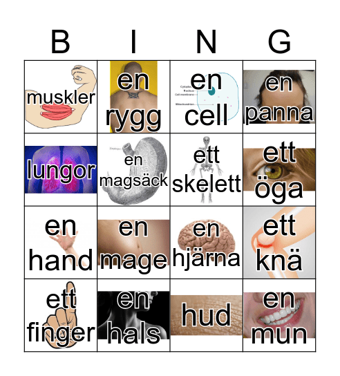 Kroppsdelar med bild Bingo Card