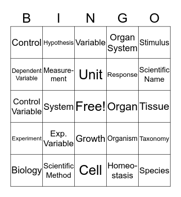 Vocabulary Review Bingo Card